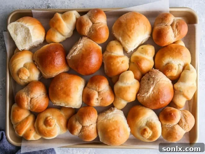 An assortment of homemade dinner rolls in various shapes and flavors on a baking sheet