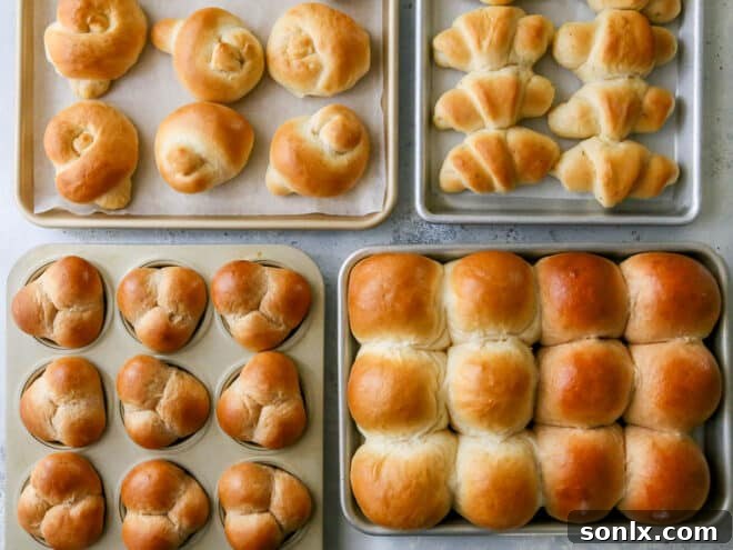 Freshly baked golden brown dinner rolls on a cooling rack