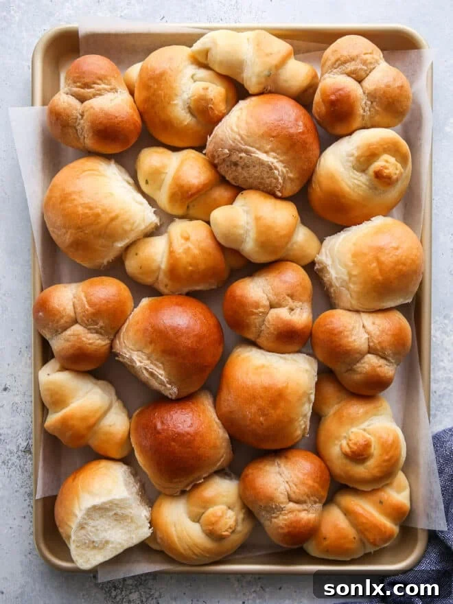 A selection of perfectly shaped dinner rolls ready for baking