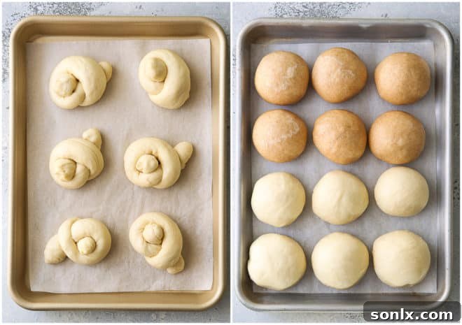 Unbaked dinner roll knots and traditional round rolls arranged on a baking sheet