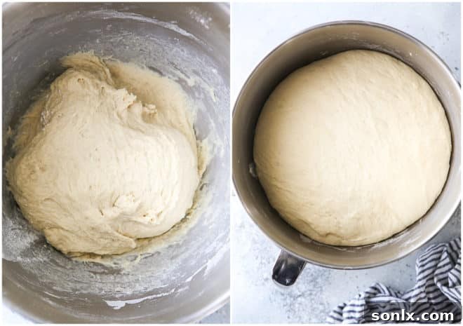 Before and after comparison of bread dough rising