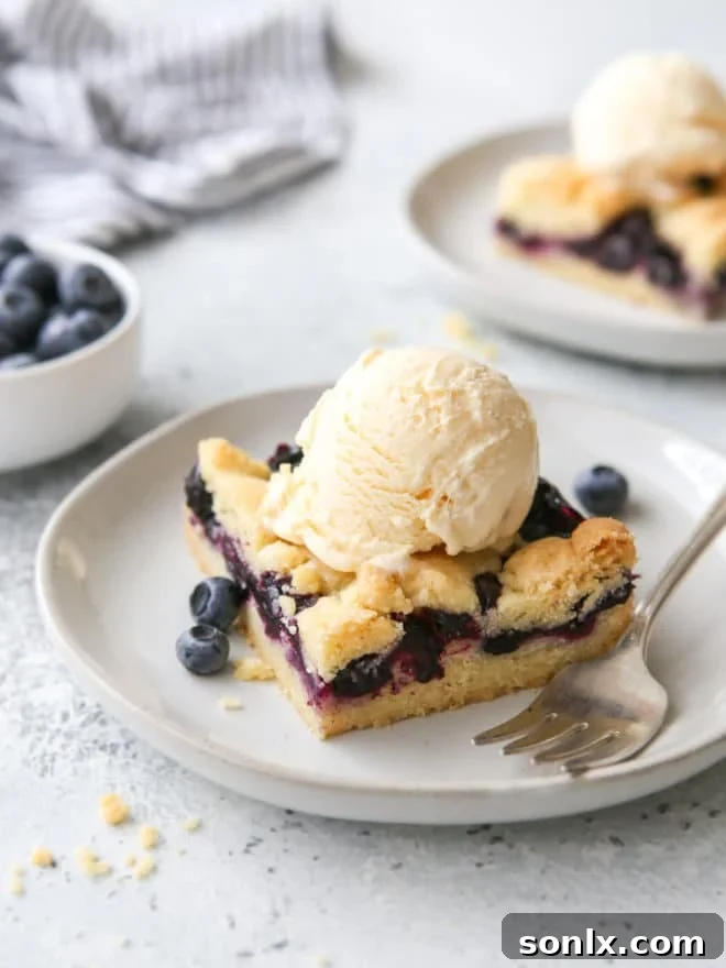 Delectable blueberry pie bars served on a plate with a scoop of vanilla ice cream, showcasing their rich filling and golden crust.