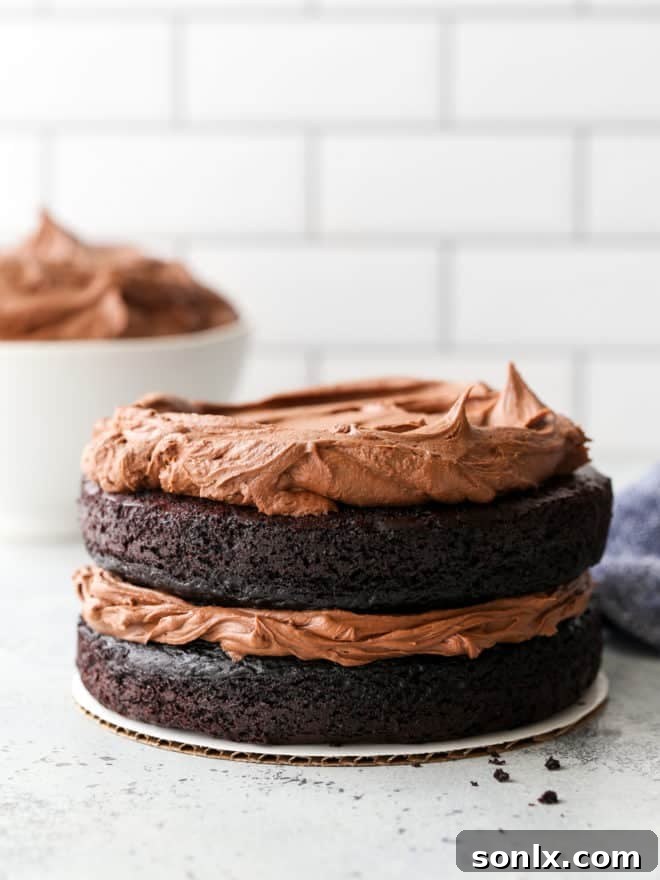 A rich chocolate cake generously covered with easy fudge buttercream frosting, highlighting its smooth and decadent texture.