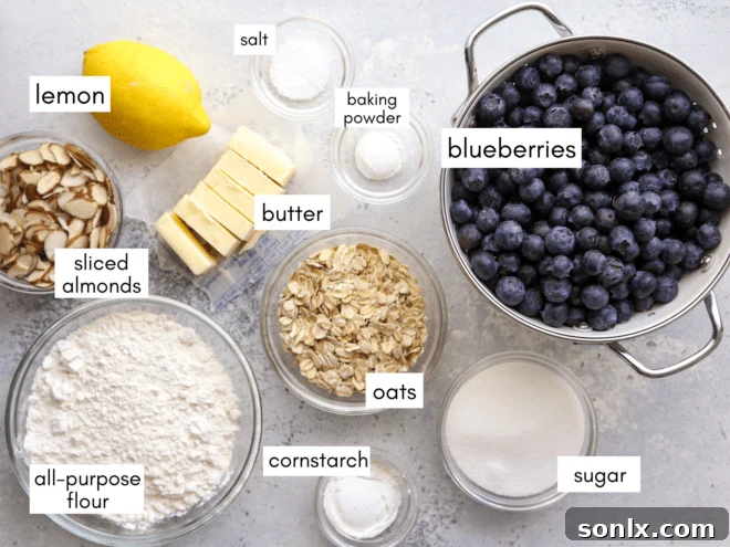 Ingredients laid out for a blueberry crisp recipe, including fresh blueberries, oats, flour, sugar, butter, and almonds.