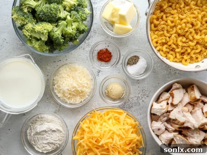 Ingredients laid out for making chicken broccoli macaroni and cheese, including pasta, cheese, butter, and seasonings