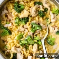 Stirring chicken broccoli macaroni and cheese in a skillet