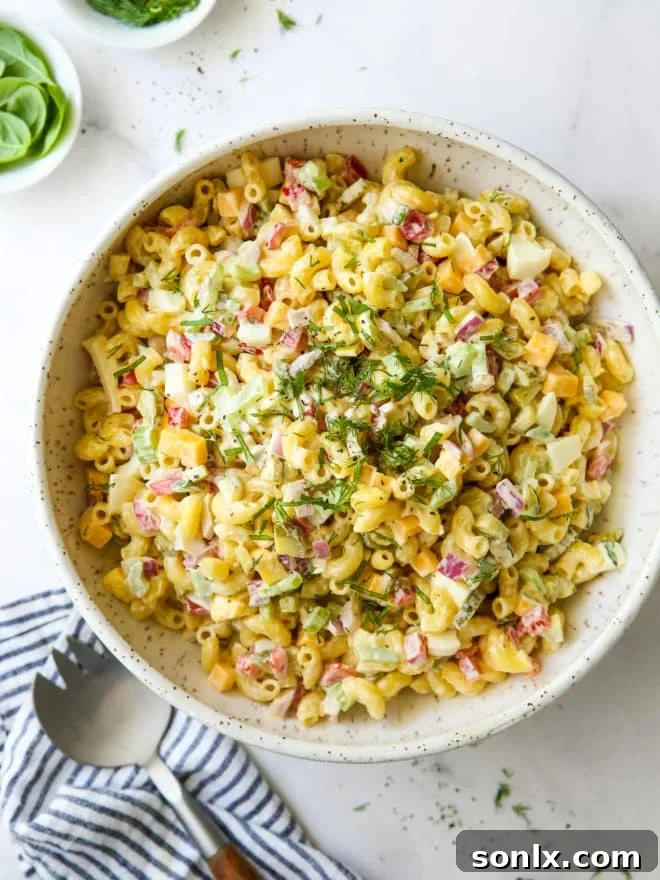 A beautifully presented bowl of classic macaroni salad, garnished with fresh herbs, alongside a checkered napkin and small bowls of extra ingredients, evoking a perfect picnic setting.