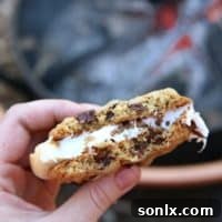 Chocolate Chip Cookie S'mores from completelydelicious.com