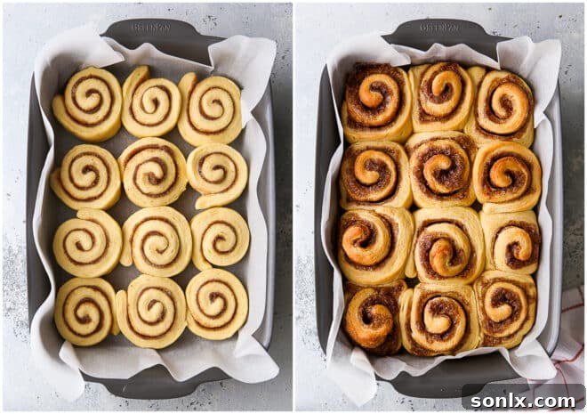 Eggnog cinnamon rolls, covered with plastic wrap, rising in a warm environment, showcasing their growth and readiness for baking.