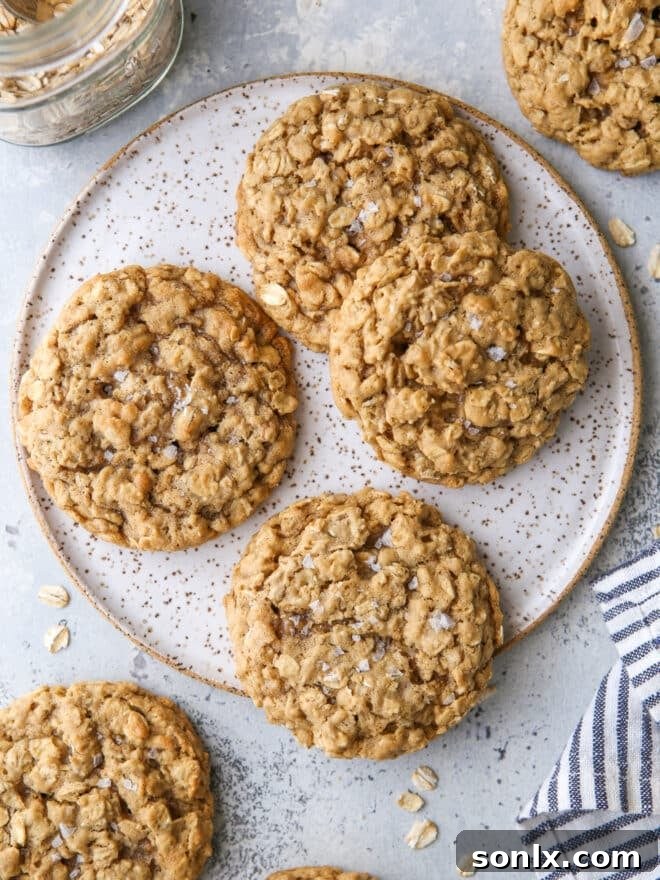 A delightful close-up of perfectly baked chewy oatmeal cookies, showcasing their rich texture and golden-brown edges, enticing you to take a bite.