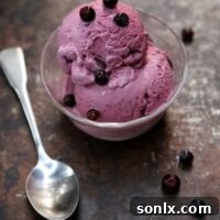 Huckleberry Ice Cream from completelydelicious.com
