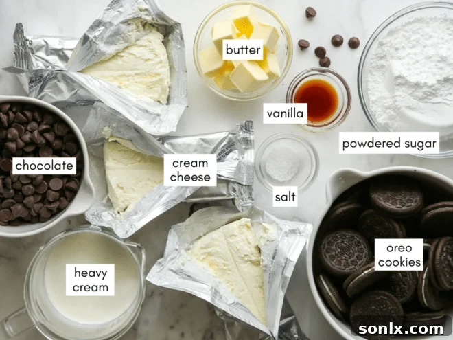 No-Bake Chocolate cheesecake Ingredients laid out