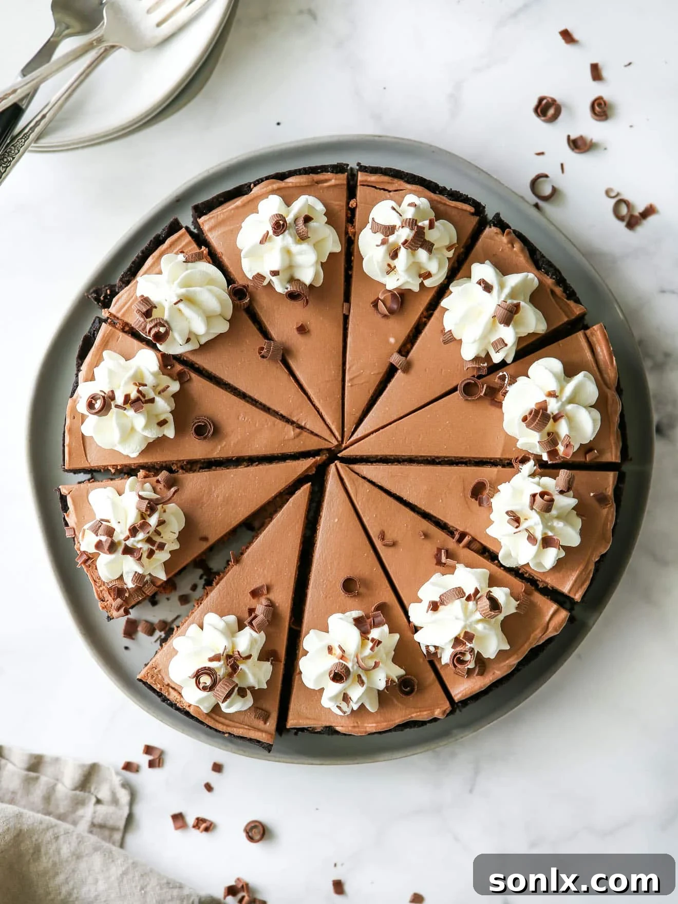 No-Bake Chocolate Cheesecake sliced and garnished