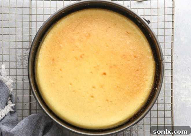 A perfectly golden-brown, crack-free cheesecake fresh from the oven, still in its springform pan, sitting on a wire rack.