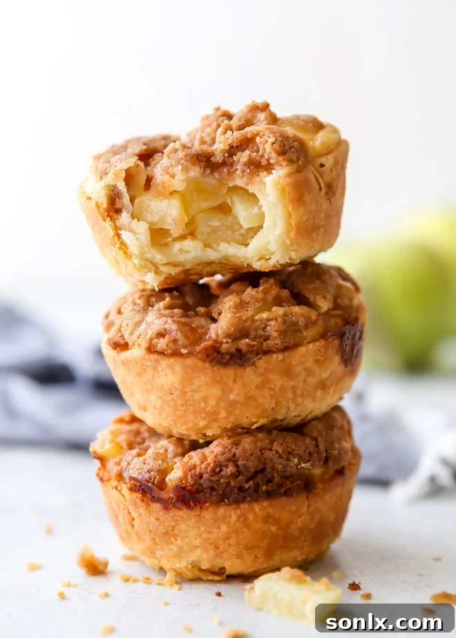 Delicious Mini Apple Pie