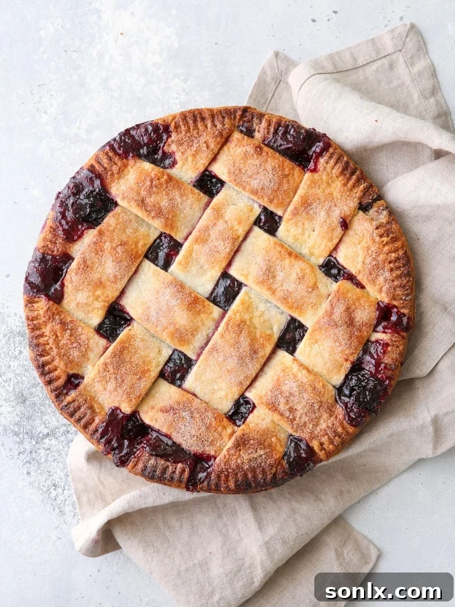 A beautifully baked cranberry blueberry pie, showcasing a flaky, golden crust and a vibrant fruit filling, perfect for holiday gatherings.