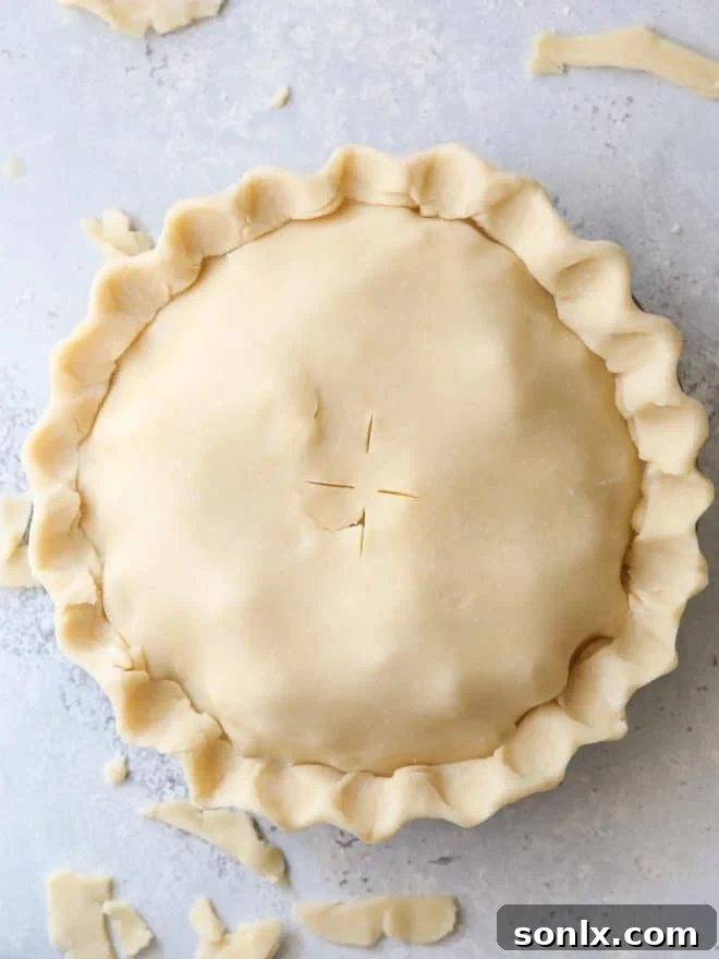 A perfectly crimped, golden-brown pie crust edge, demonstrating ideal pie dough handling and preparation.