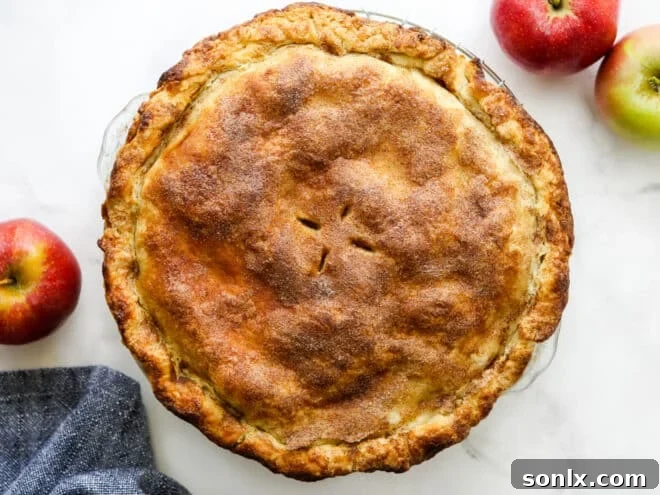 A stunning, golden-brown 'Mile High' apple pie, baked to perfection with a crisp top crust, ready to be served.