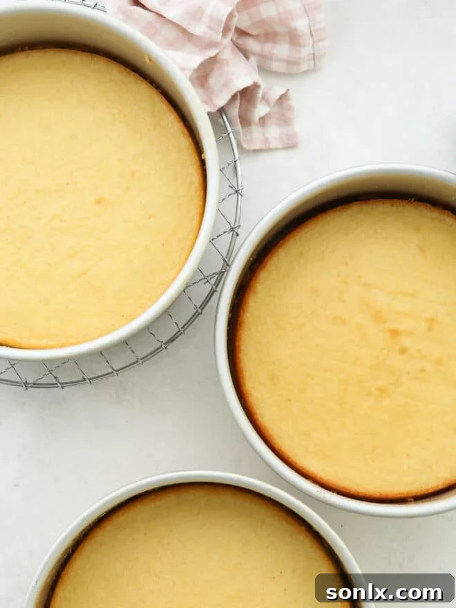 baked vanilla cake layers in cake pans