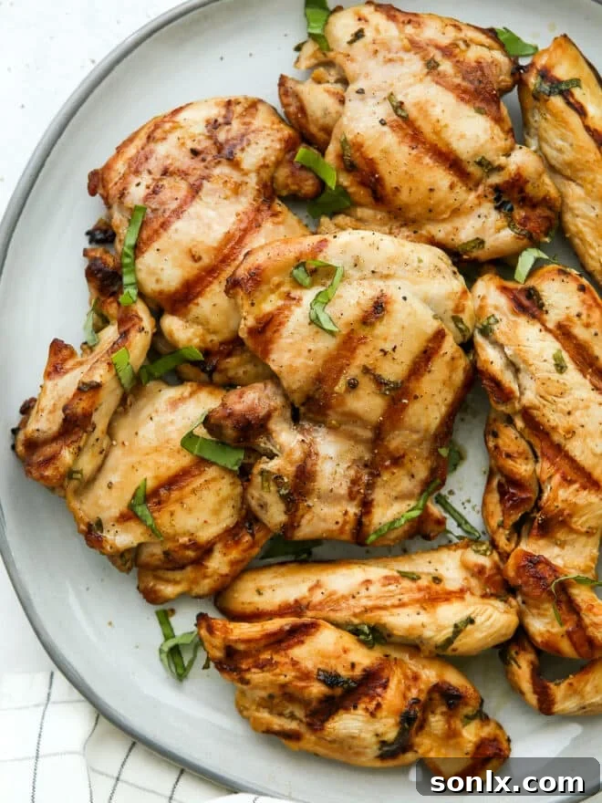 Grilled chicken with fresh basil garnish on a plate, ready to be served and enjoyed
