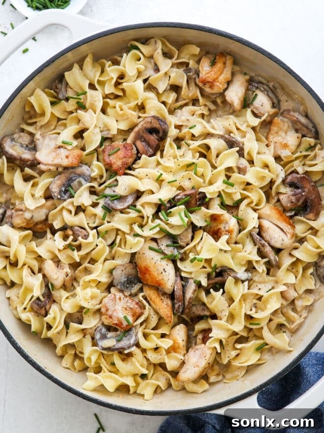 close-up of creamy chicken mushroom stroganoff in white pan, ready to serve