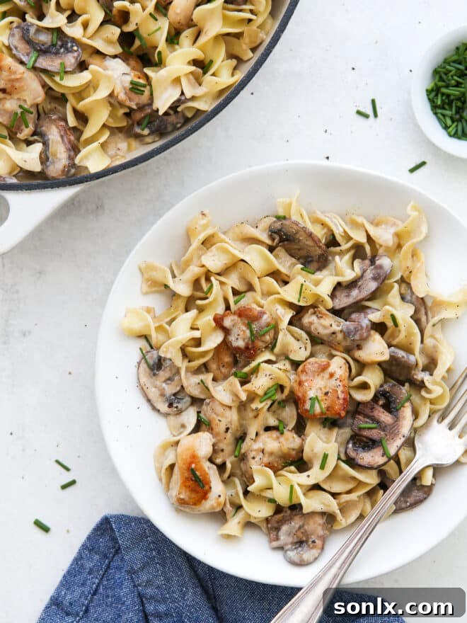 Chicken mushroom stroganoff served on a white plate with a fork, garnished with fresh chives