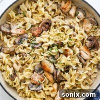 close-up of chicken mushroom stroganoff in a bowl