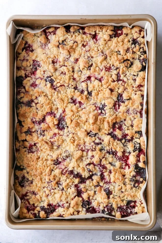 berry crumb bars baked in a pan, ready to be sliced