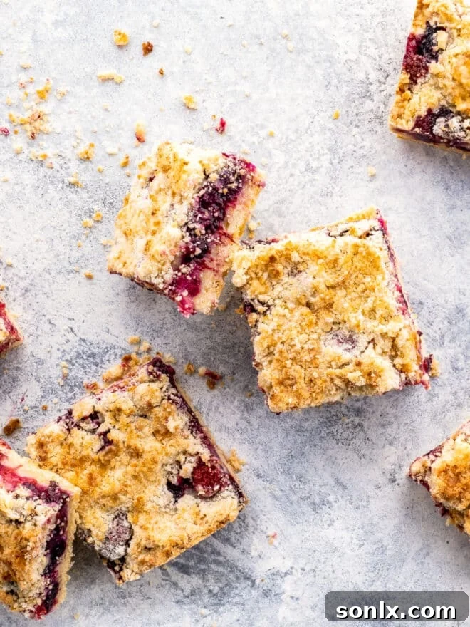 berry crumb bars scattered on a board, showcasing their beautiful texture