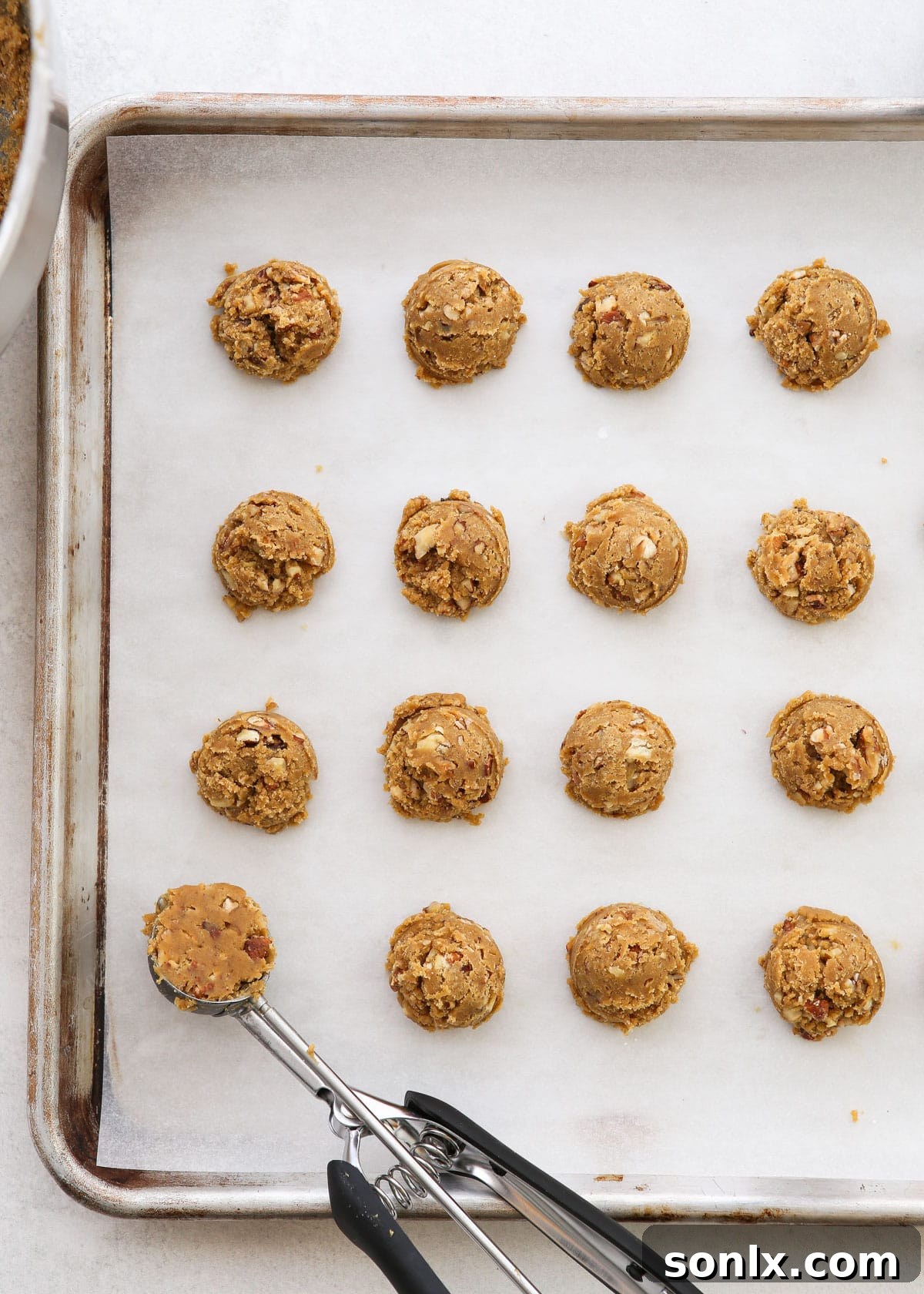 Rows of perfectly scooped and rolled unbaked Molasses Spice Snowball Cookie dough balls, neatly arranged on a parchment-lined baking sheet, spaced for even baking.