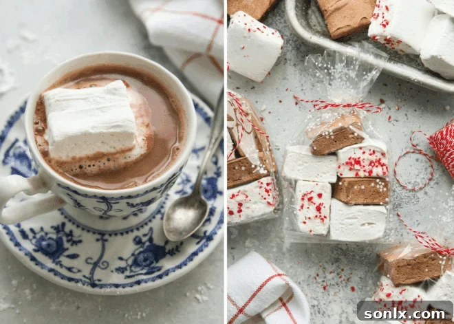 cup of hot chocolate with marshmallow and packaged marshmallows for gifting