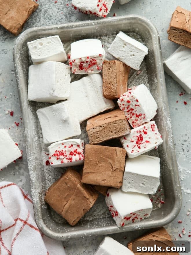 different flavors of marshmallows on a pan