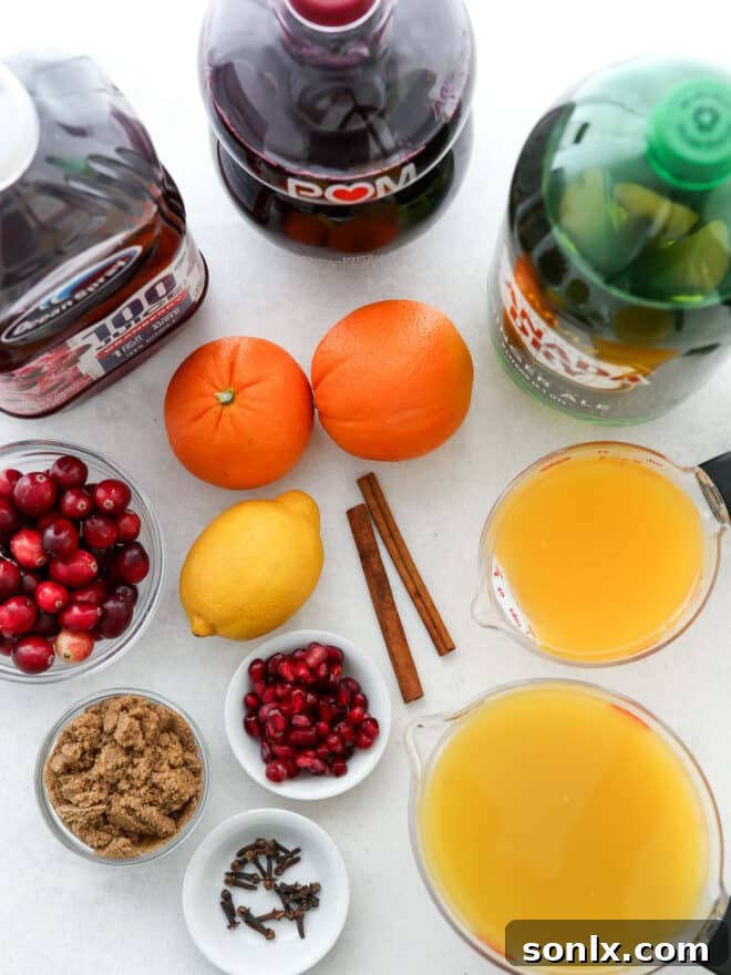 ingredients for non-alcoholic Christmas punch