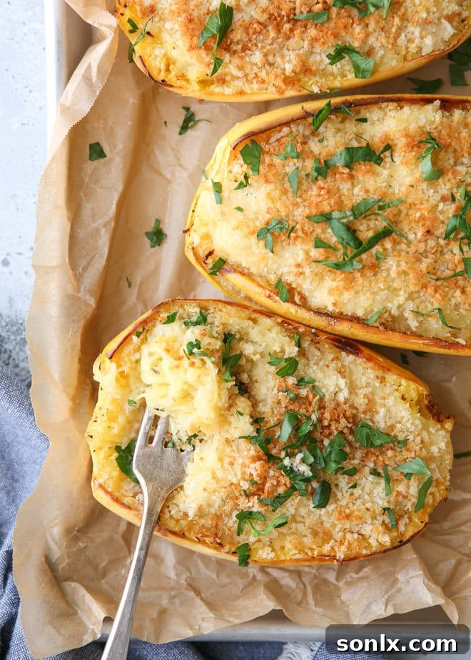 Half a baked spaghetti squash filled with cheesy mixture and topped with breadcrumbs