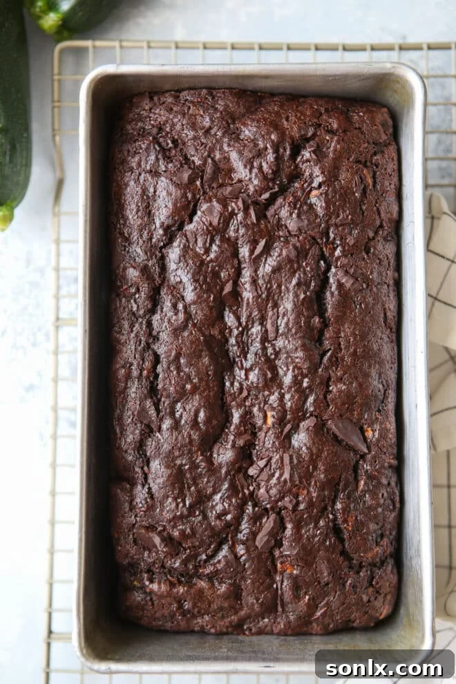 A beautifully baked chocolate zucchini bread loaf, golden brown and cooling in its pan, promising rich, moist slices.