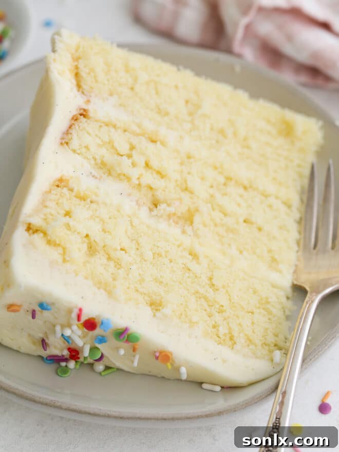 Close-up view of a perfectly moist vanilla cake slice