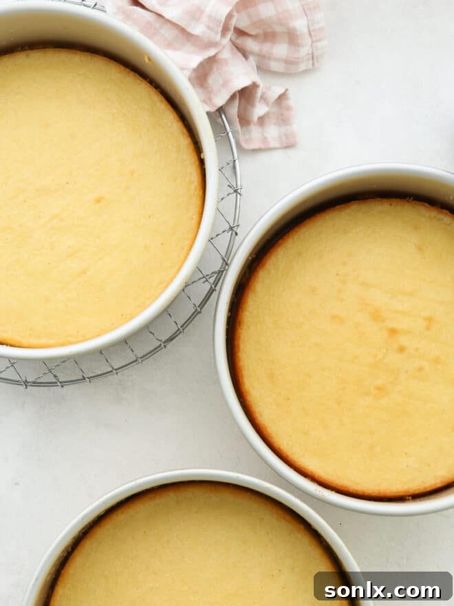 Baked vanilla cake layers cooling in cake pans