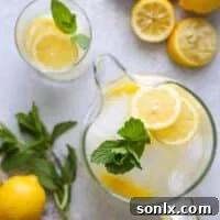 Citrus Zing with a Ginger Kick 5 Close-up of a refreshing glass of ginger lemonade with ice, lemon slices, and fresh mint, ready to be enjoyed on a warm day