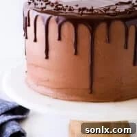 closeup of chocolate fudge cake on cake stand