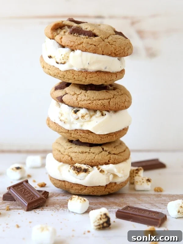 S'mores Ice Cream Sandwiches | completelydelicious.com