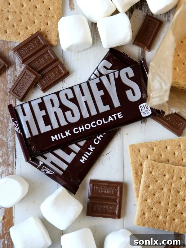 S'mores Ice Cream Sandwiches | completelydelicious.com