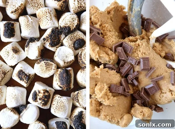 S'mores Ice Cream Sandwiches | completelydelicious.com