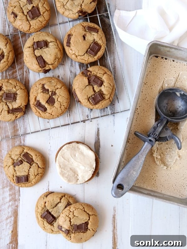 S'mores Ice Cream Sandwiches | completelydelicious.com