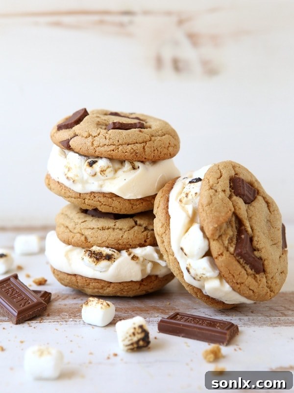 S'mores Ice Cream Sandwiches | completelydelicious.com
