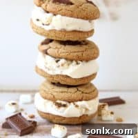 S'mores Ice Cream Sandwiches | completelydelicious.com