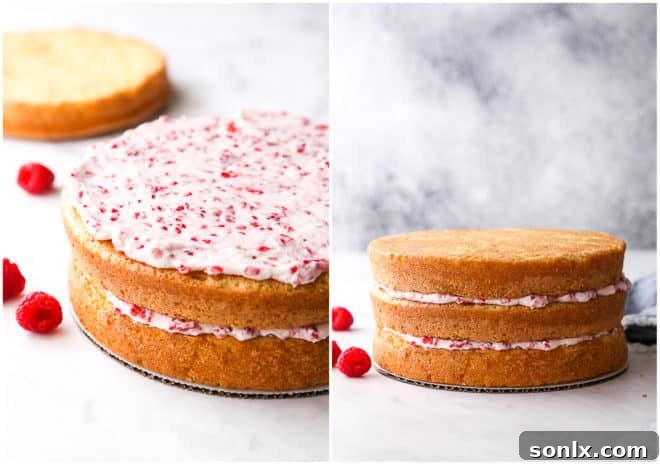 Hands meticulously assembling a three-layer raspberry white chocolate cake, spreading filling between layers