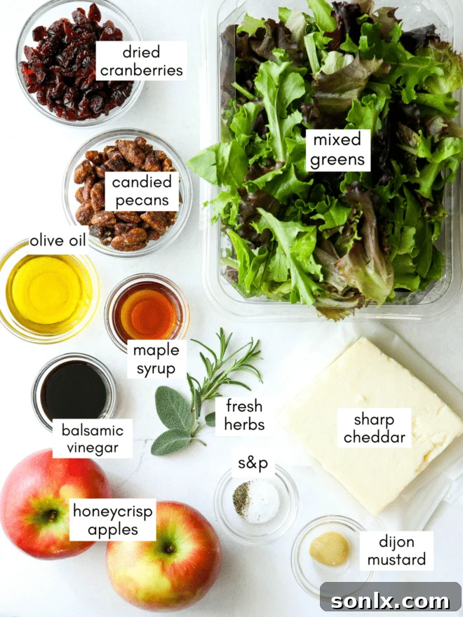 fall apple salad ingredients