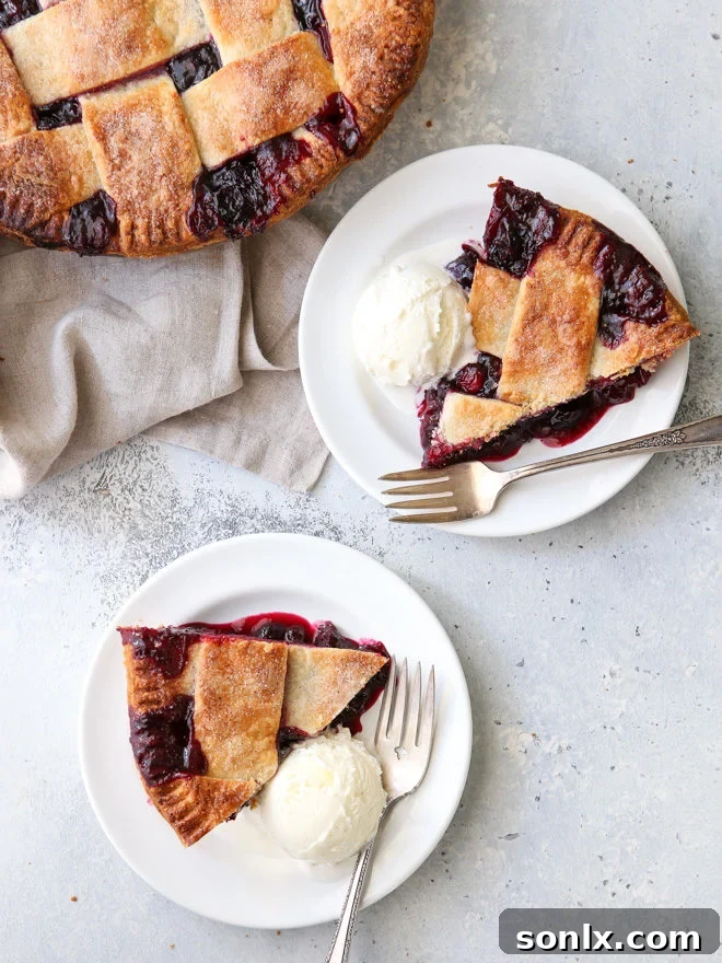 A beautifully baked cranberry blueberry pie with a golden, flaky crust, garnished with fresh cranberries.