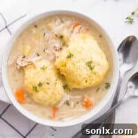 turkey dumplings soup in bowl