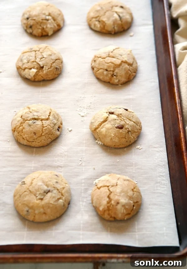 Stack of warm Brown Butter Cinnamon Crinkle Cookies with a dusting of powdered sugar.